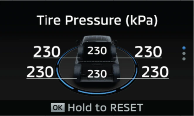 Tire Pressure Monitoring System (TPMS)